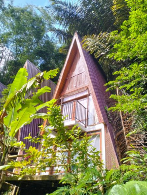 Alpha 3 Eco Cabin